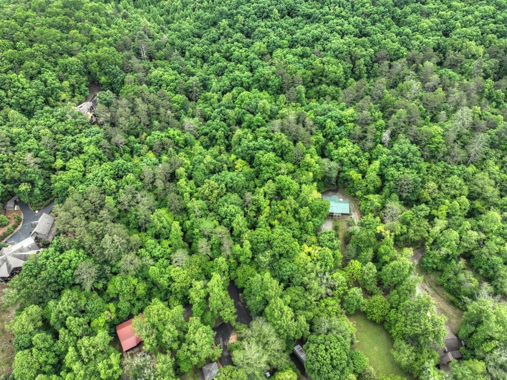 Lot 99 Woodlands Bluff Lane