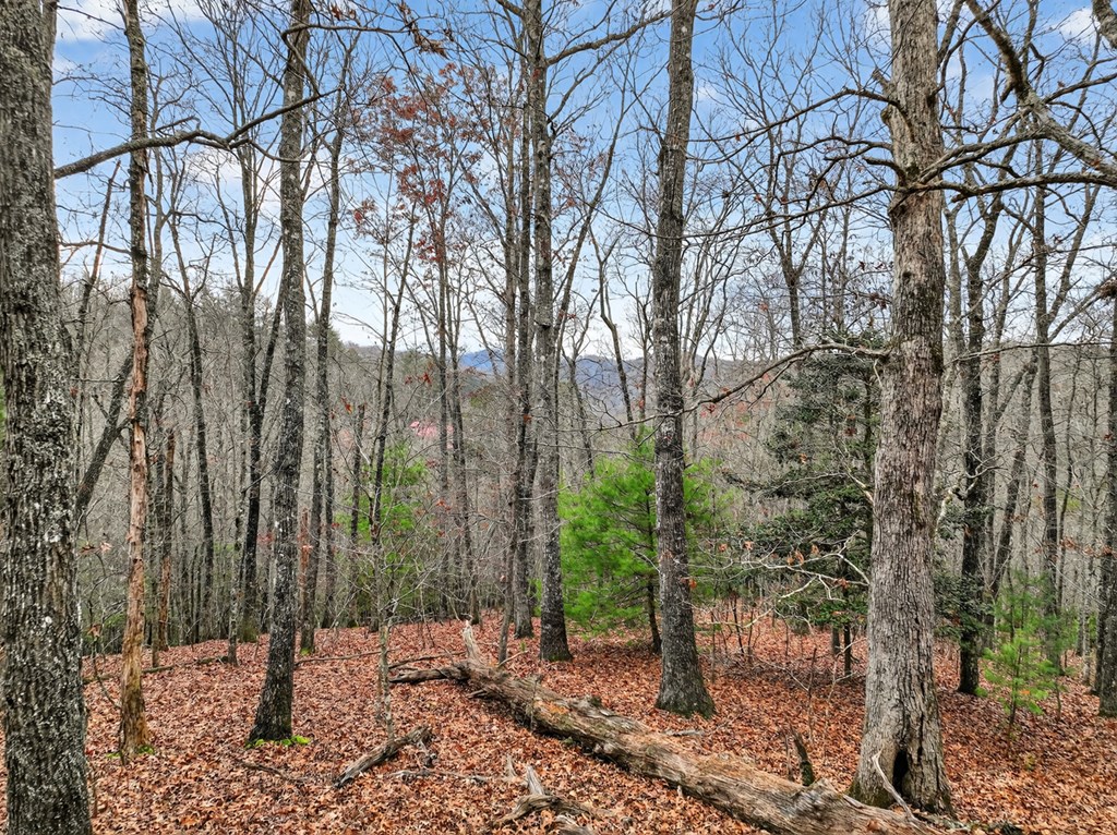 Lot 99 Woodlands Bluff Lane