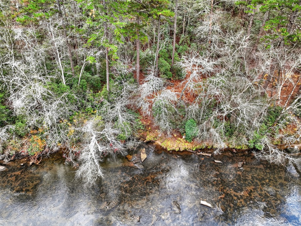 Lot 99 Woodlands Bluff Lane