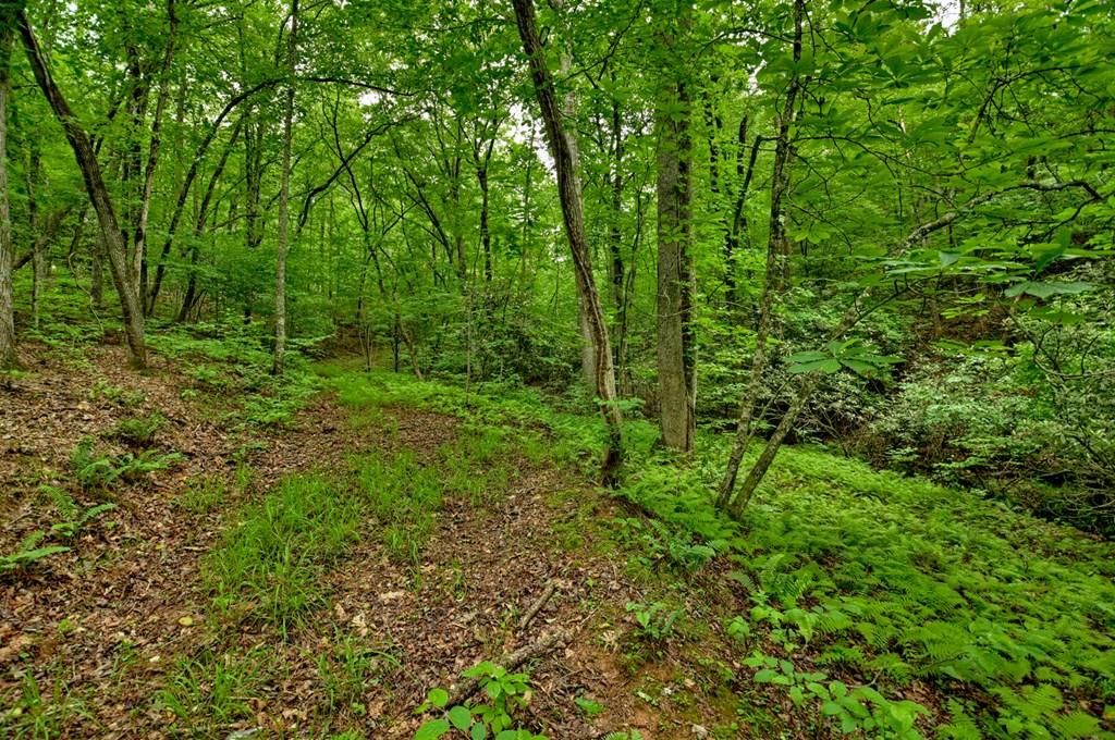 Lot 99 Woodlands Bluff Lane