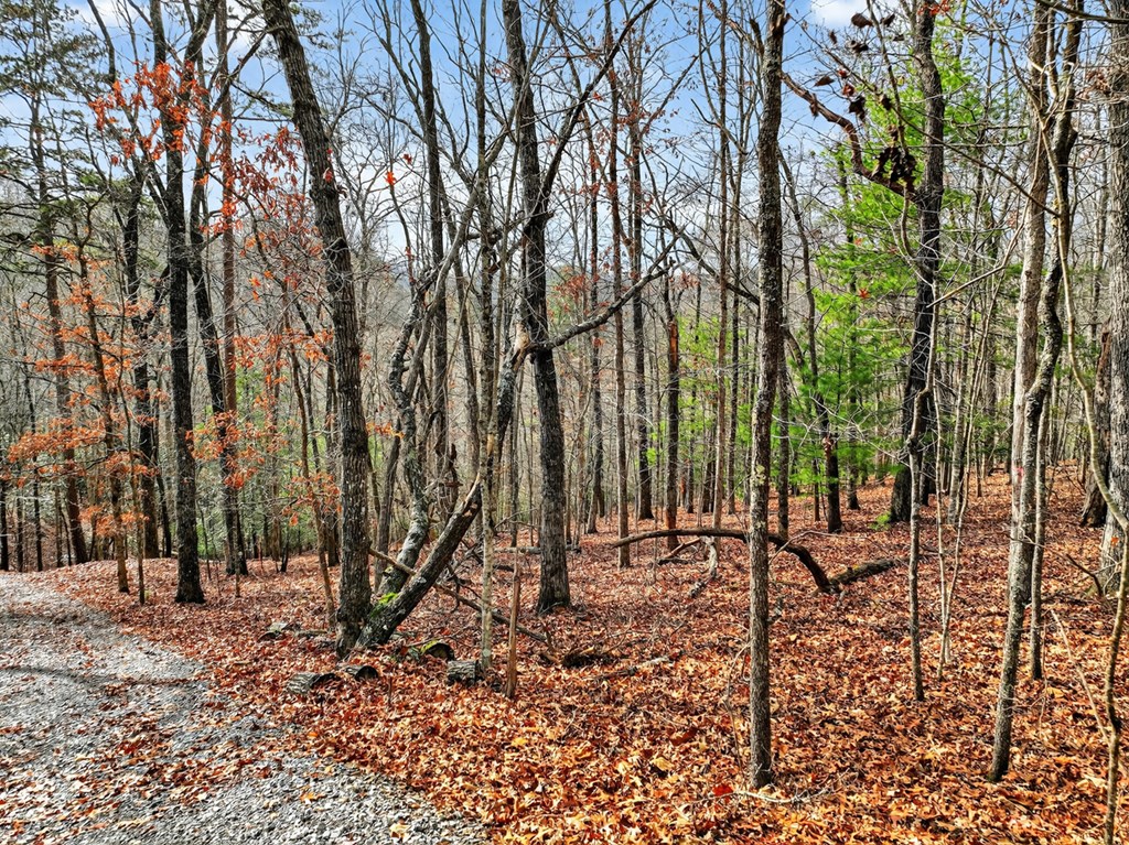 Lot 99 Woodlands Bluff Lane