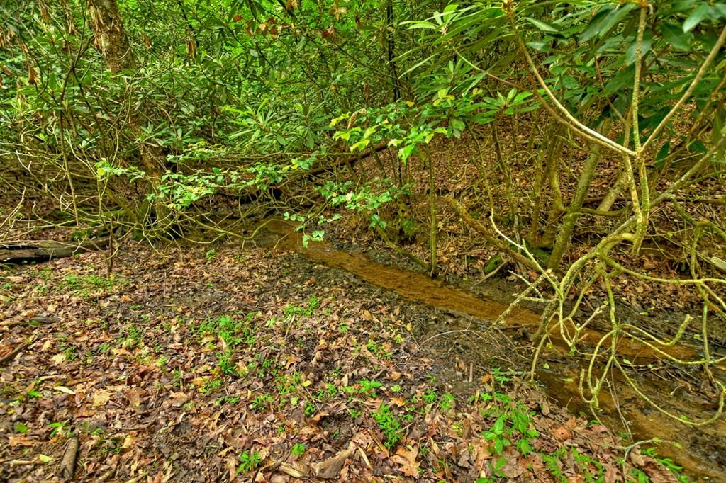 Lot 99 Woodlands Bluff Lane