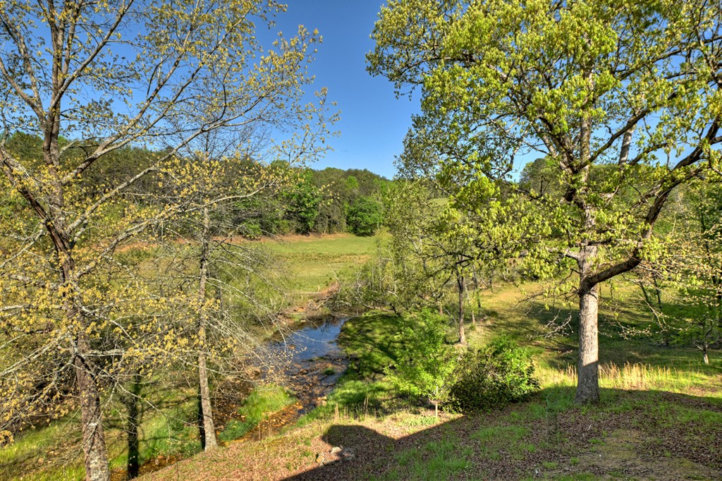 863 Woodland Drive