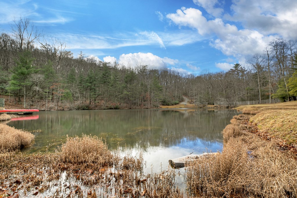 260 Observation Lane