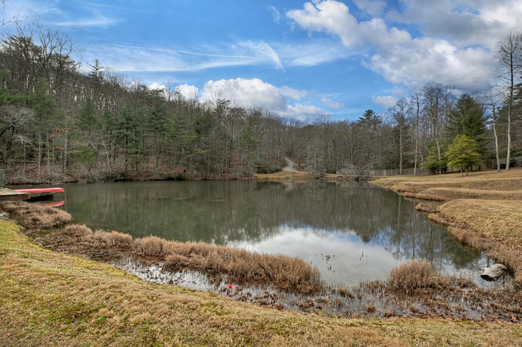 260 Observation Lane