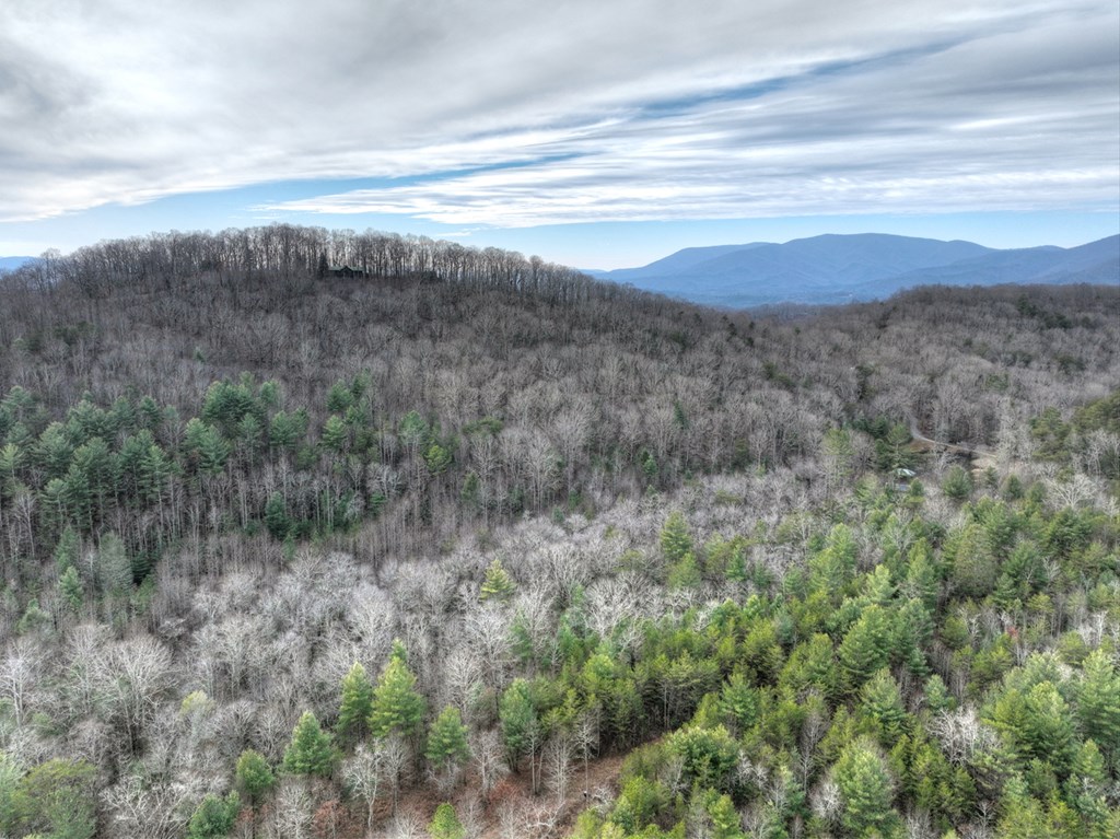 260 Observation Lane