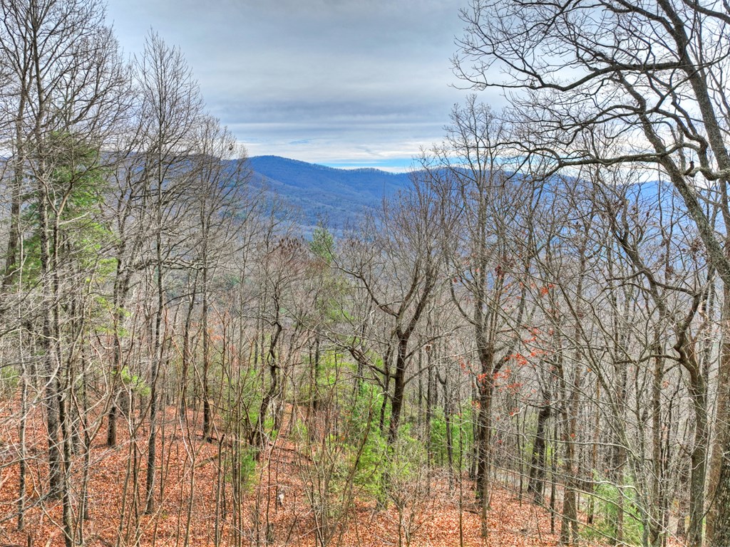 260 Observation Lane