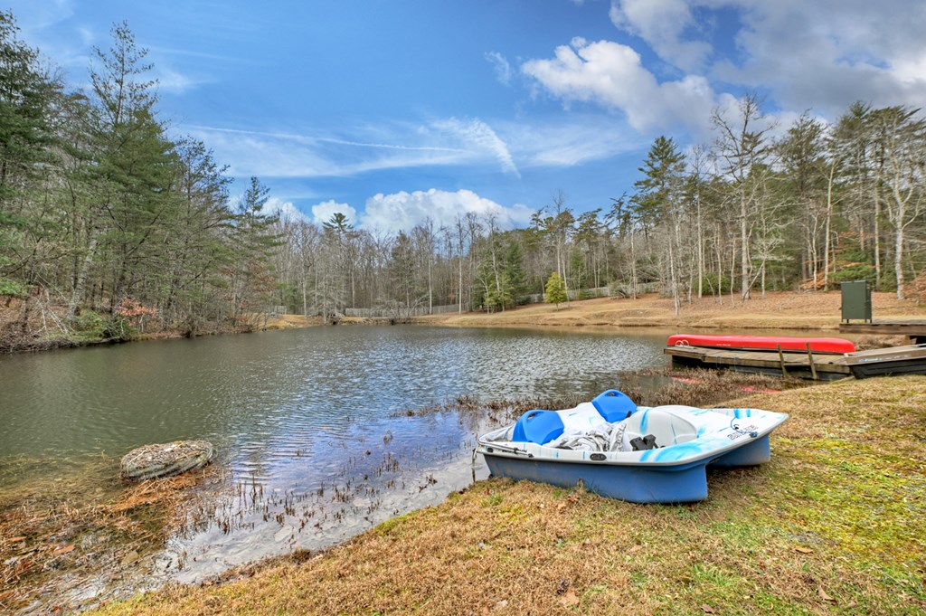 260 Observation Lane