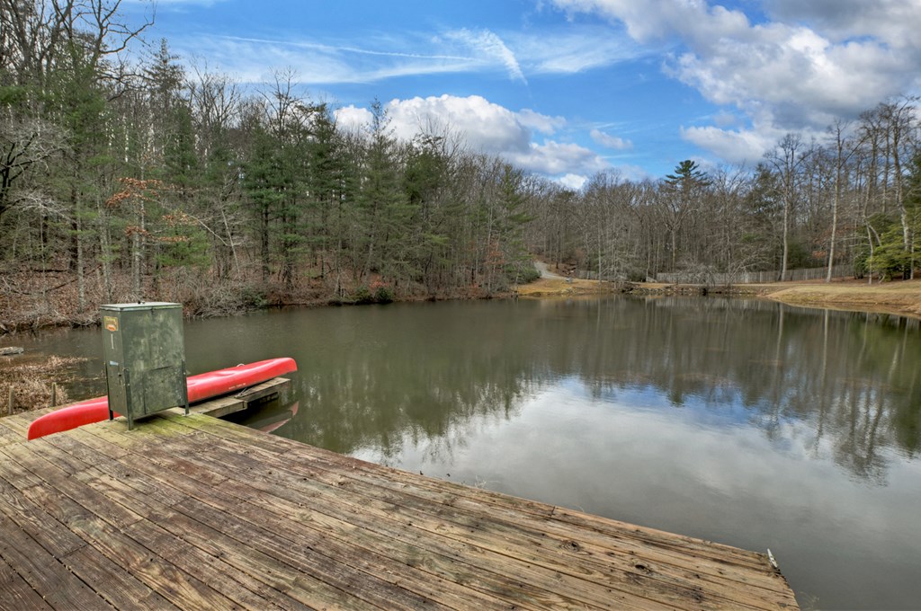 260 Observation Lane