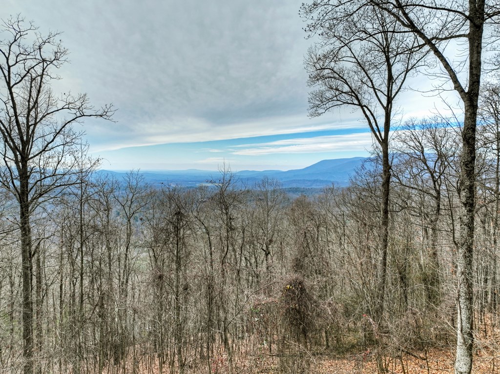 260 Observation Lane