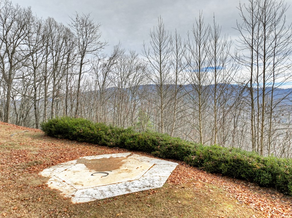 260 Observation Lane