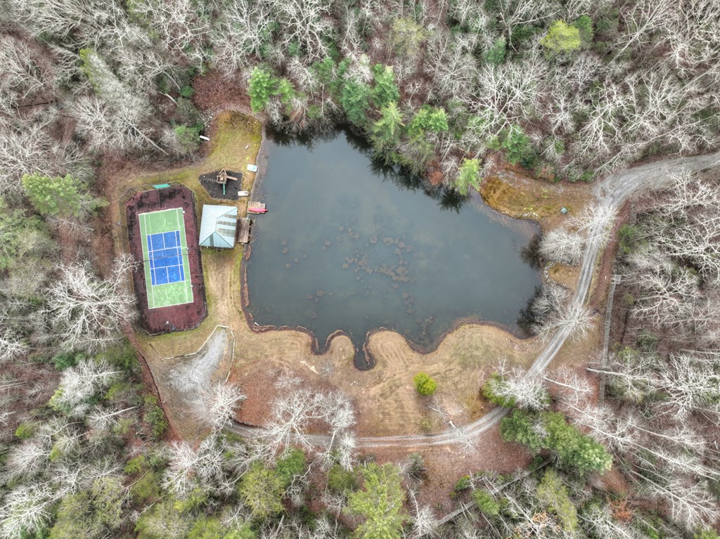 260 Observation Lane