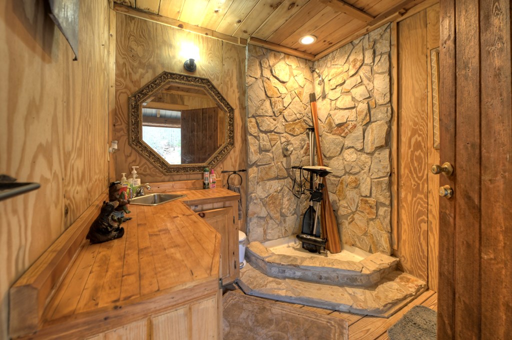 260 Observation Lane