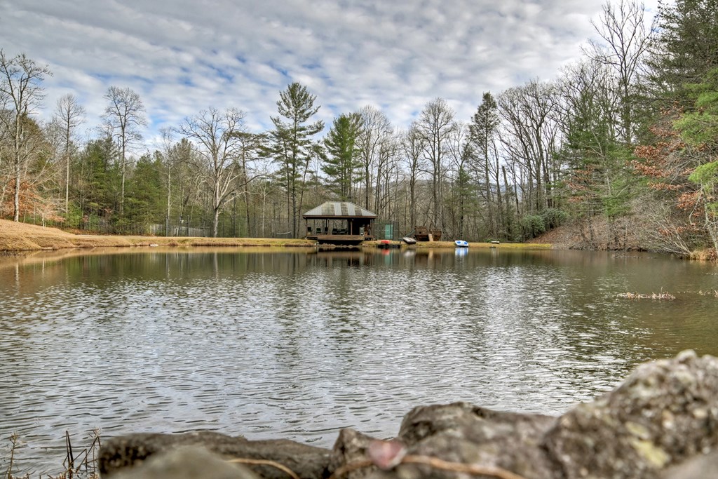 260 Observation Lane