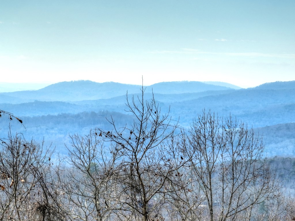 260 Observation Lane