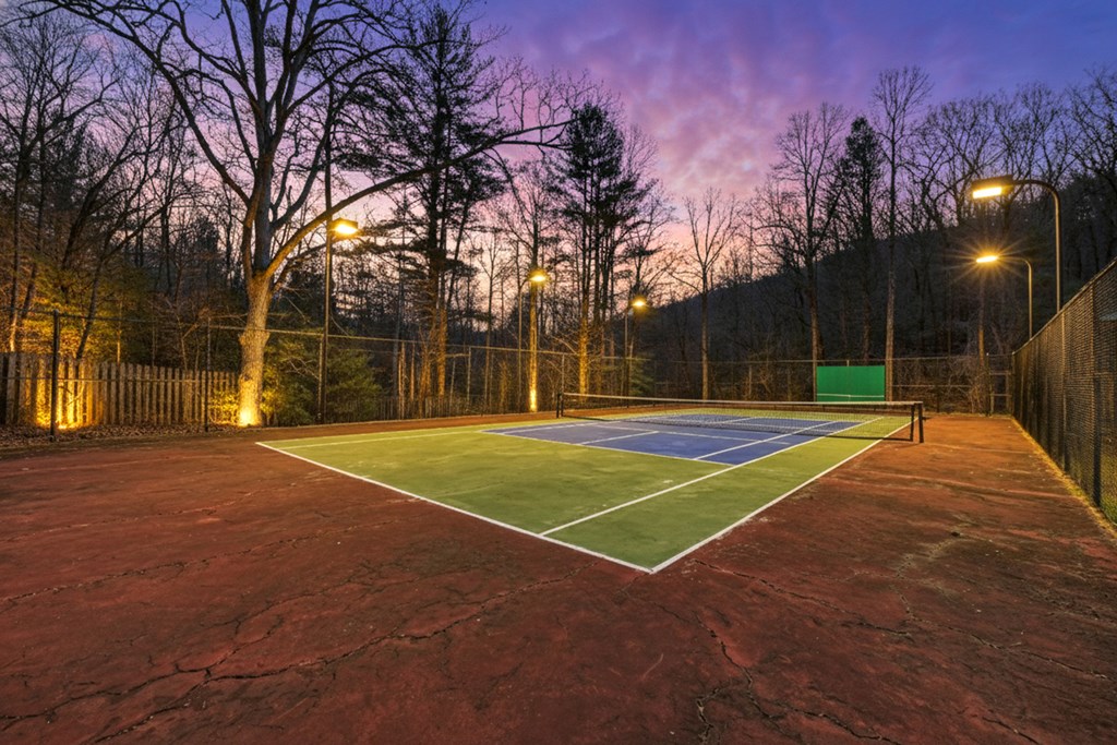 260 Observation Lane