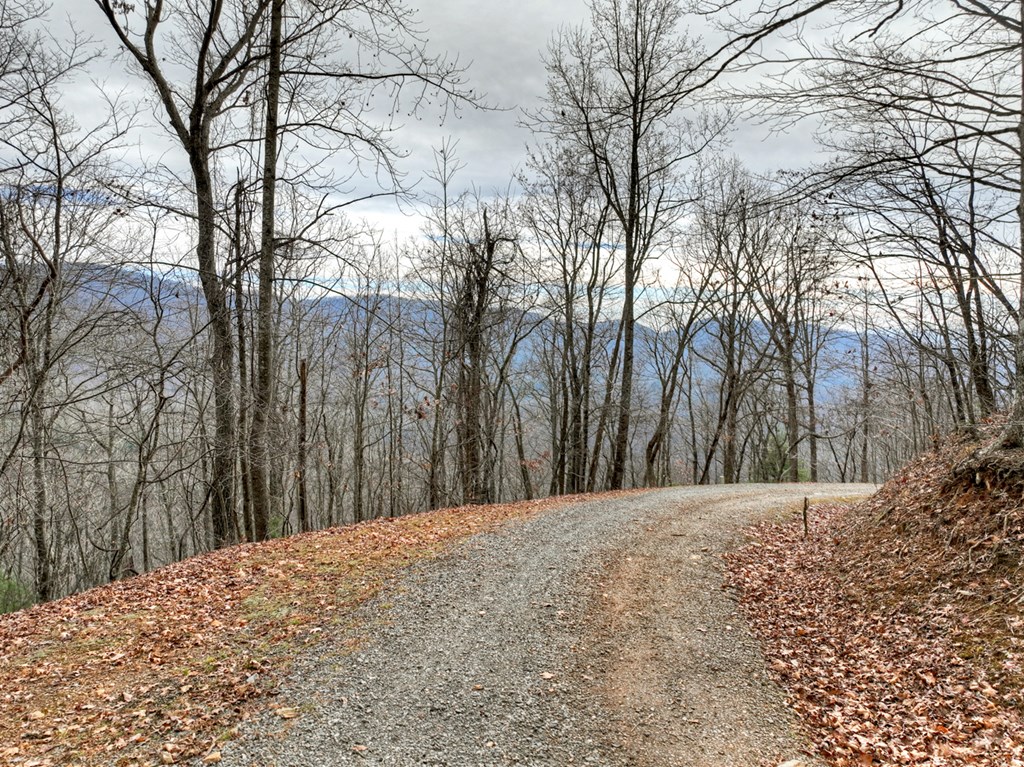 260 Observation Lane