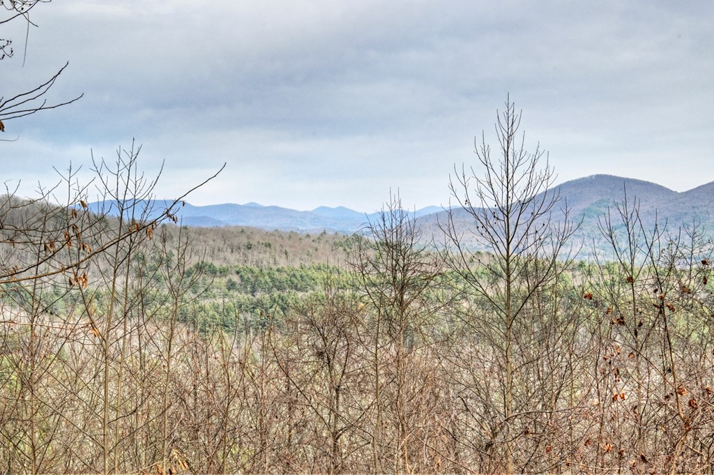 260 Observation Lane