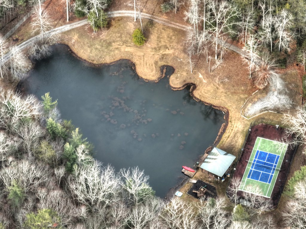 260 Observation Lane