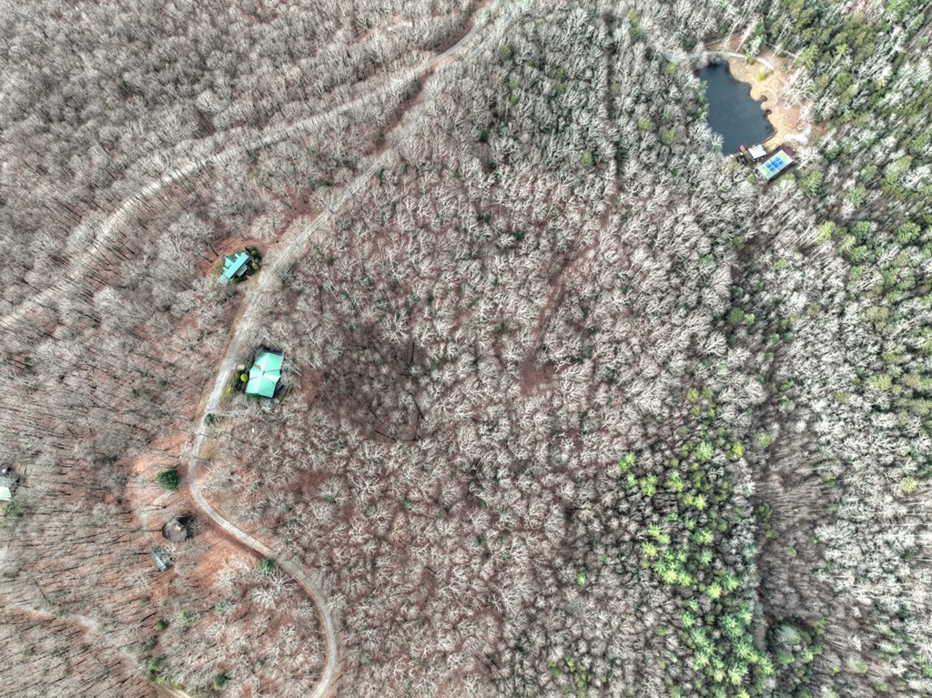 260 Observation Lane