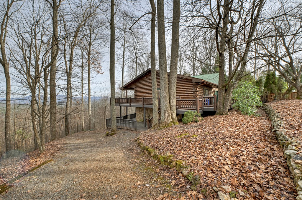 260 Observation Lane