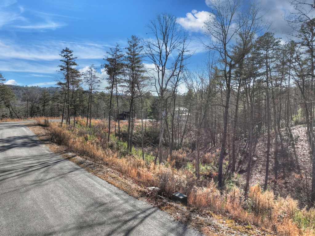 lot 16 Mountain Laurel Ridge