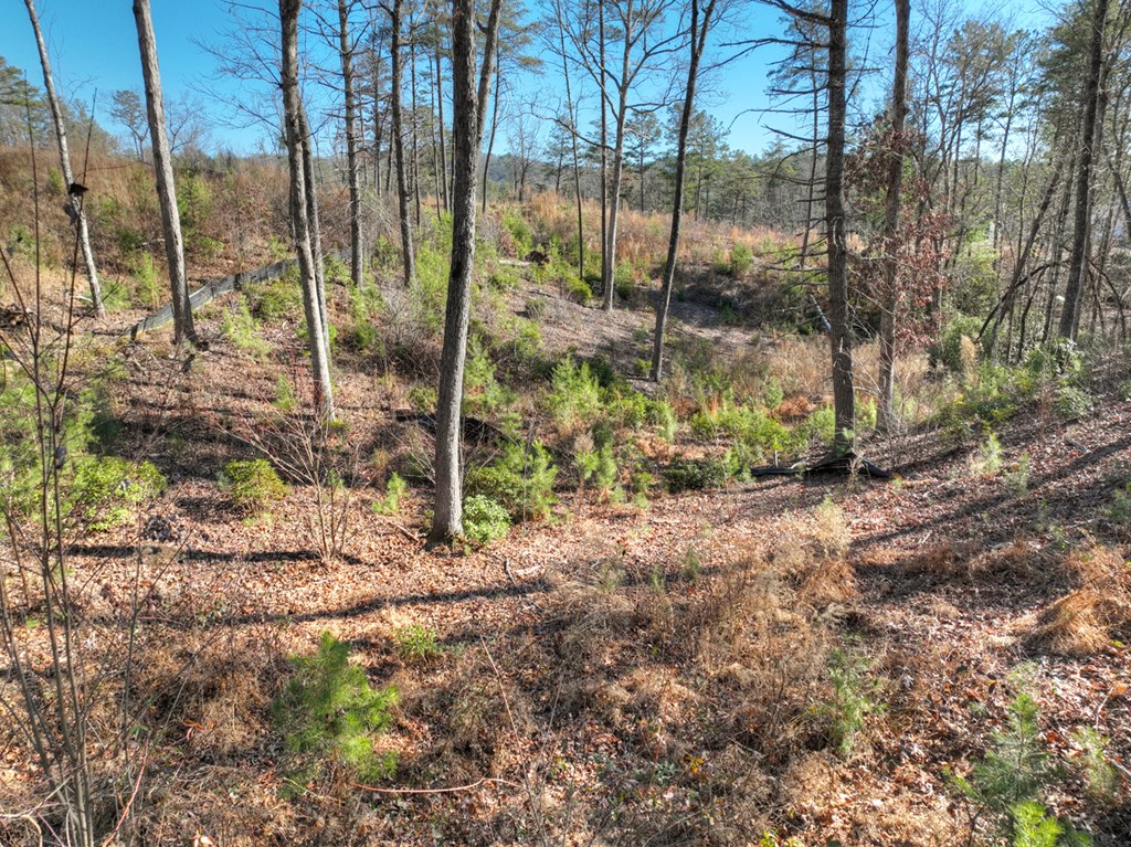 lot 16 Mountain Laurel Ridge