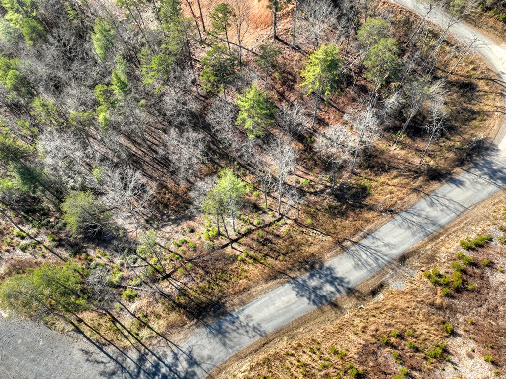 lot 16 Mountain Laurel Ridge