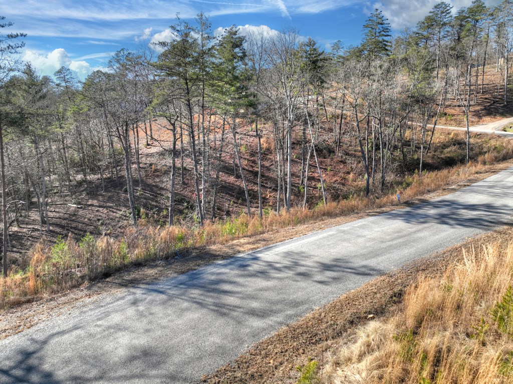 lot 16 Mountain Laurel Ridge