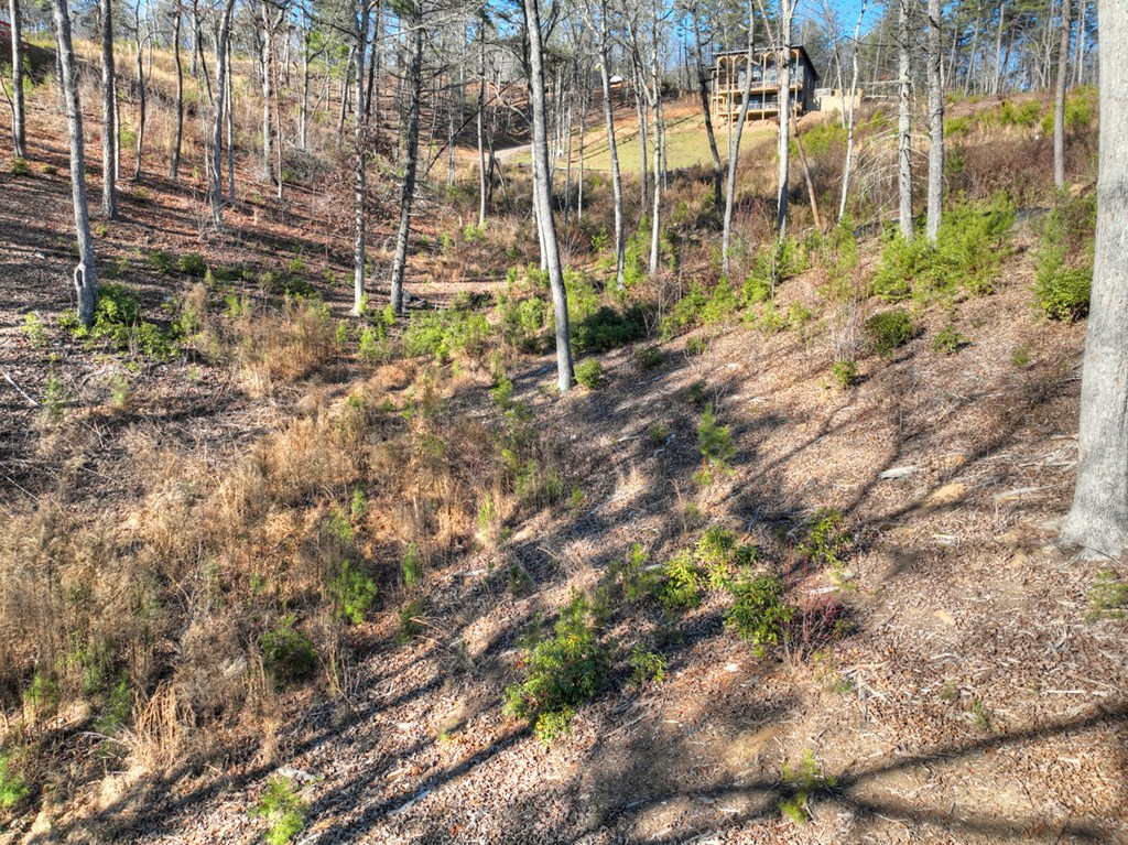 lot 16 Mountain Laurel Ridge