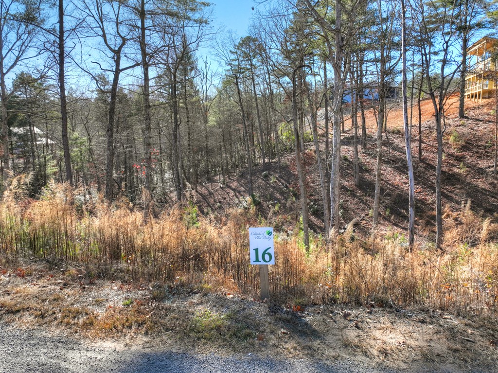 lot 16 Mountain Laurel Ridge