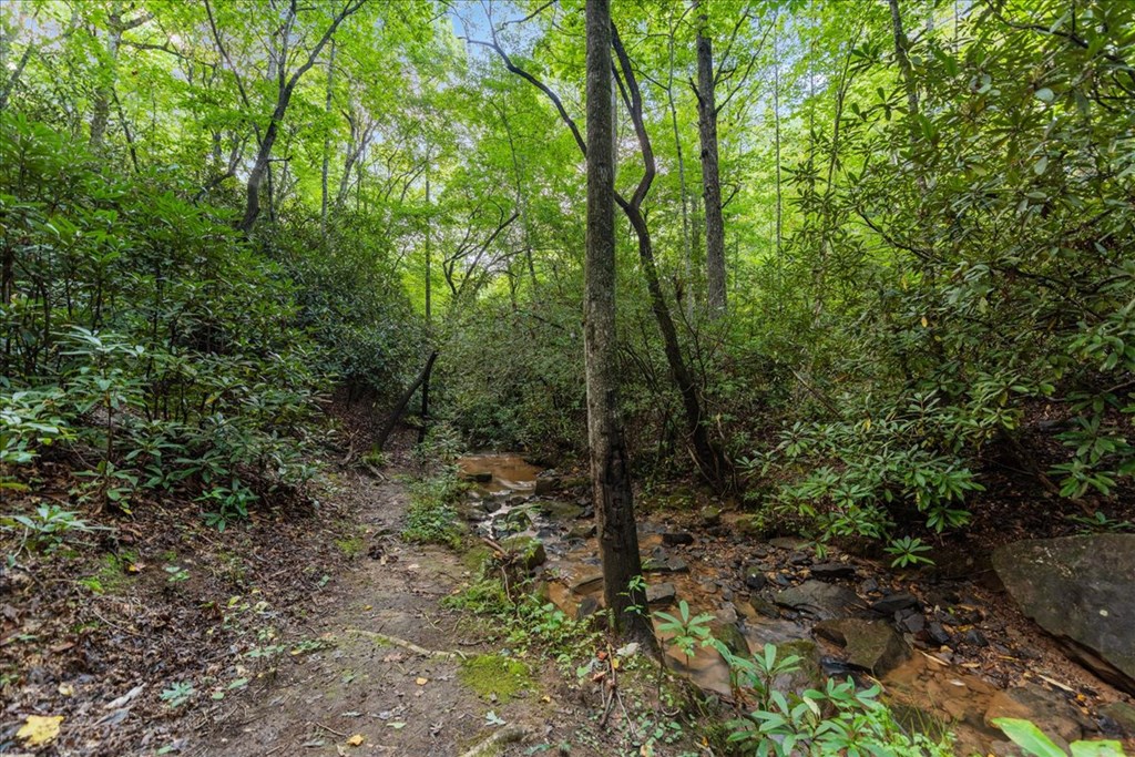 126 Brookwood Drive