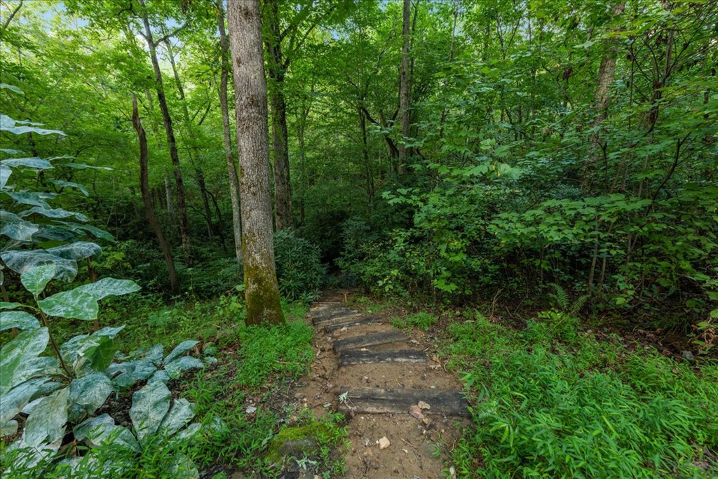 126 Brookwood Drive