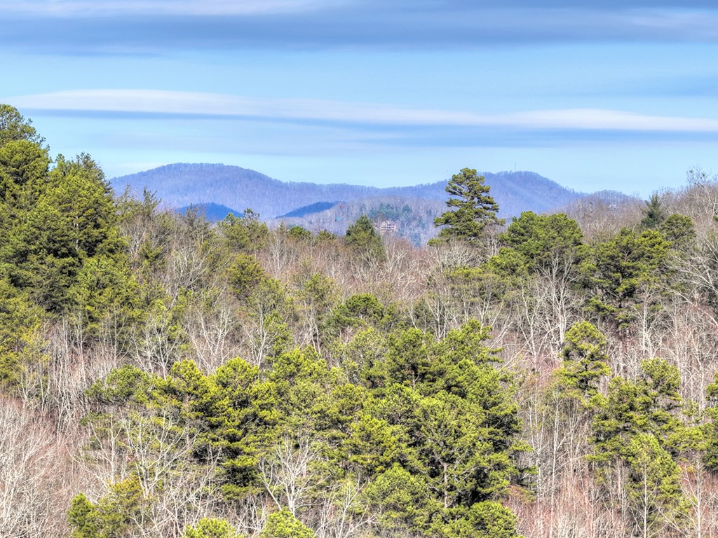 315 River Retreat Road