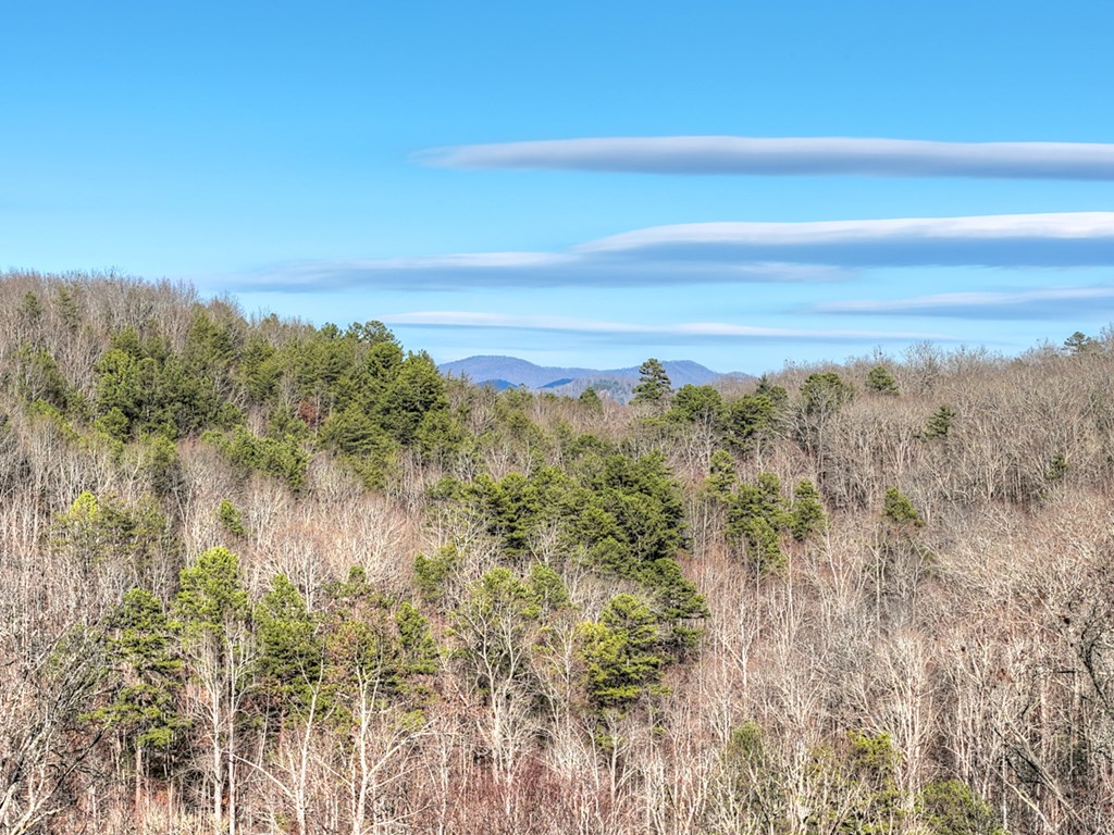 315 River Retreat Road