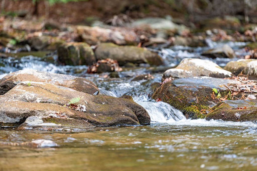 529 Hidden Valley Drive