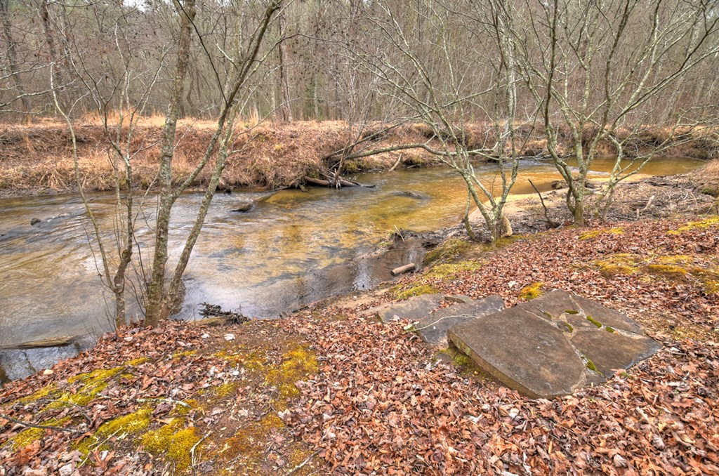 1175 Lickskillet Circle