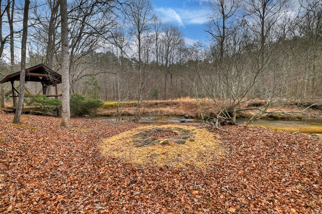 1175 Lickskillet Circle