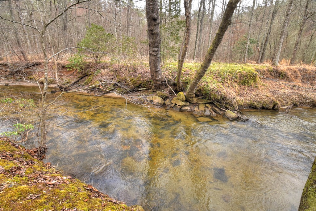 1175 Lickskillet Circle