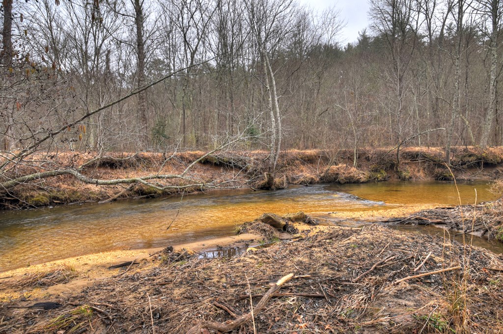 1175 Lickskillet Circle