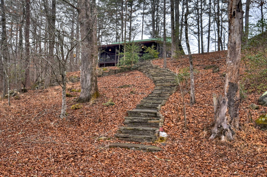 1175 Lickskillet Circle