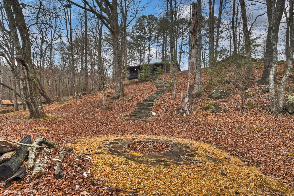 1175 Lickskillet Circle