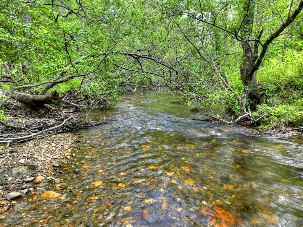 14092 Big Creek Road