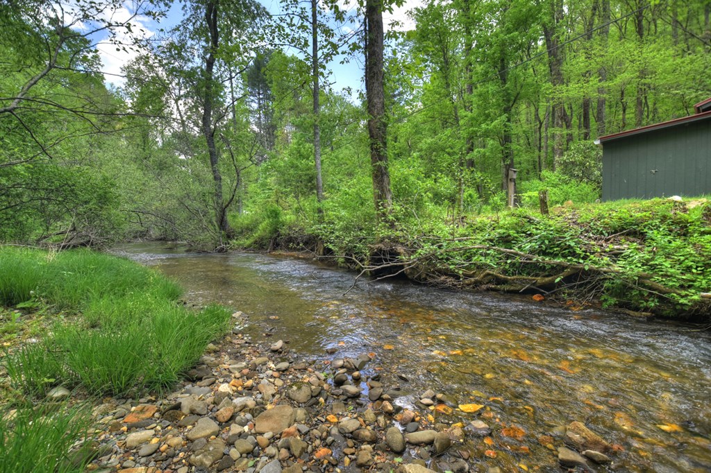 14092 Big Creek Road