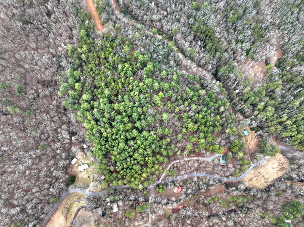 14092 Big Creek Road