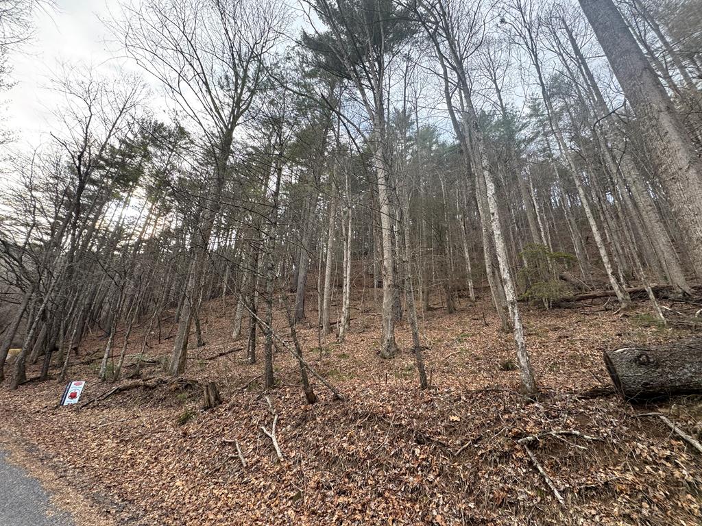 14092 Big Creek Road