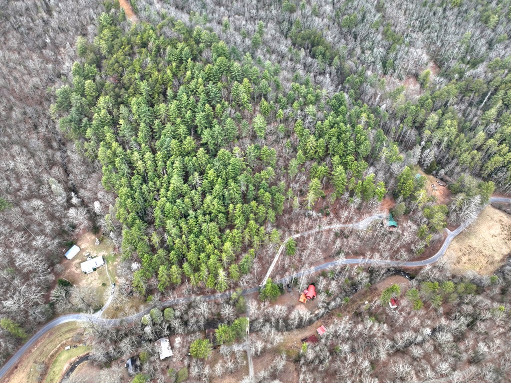 14092 Big Creek Road