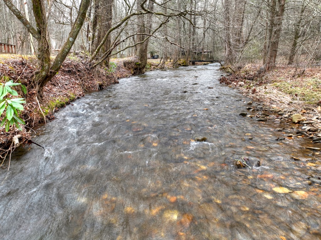 14092 Big Creek Road