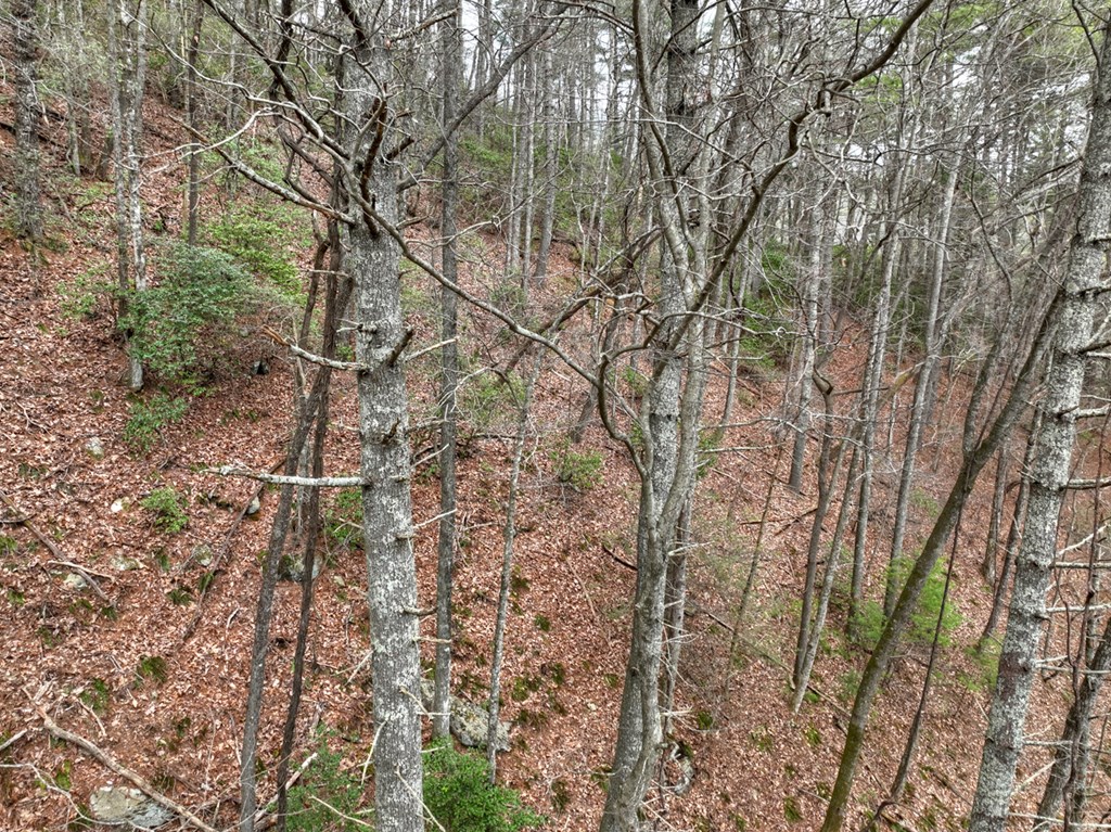 14092 Big Creek Road