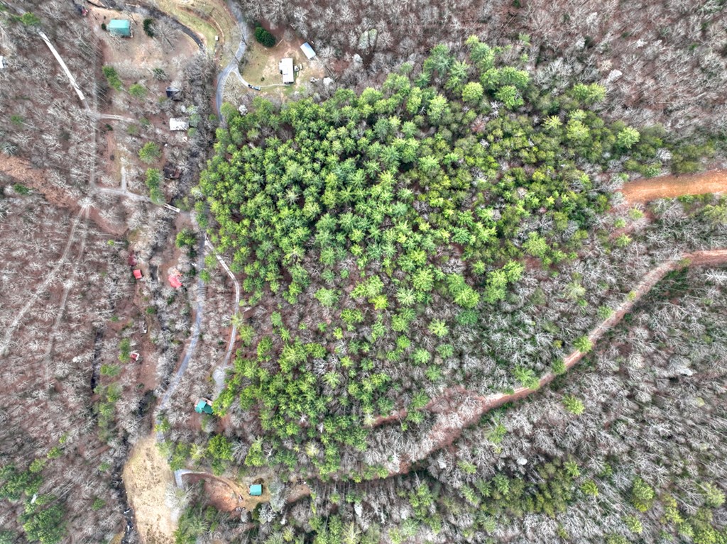 14092 Big Creek Road